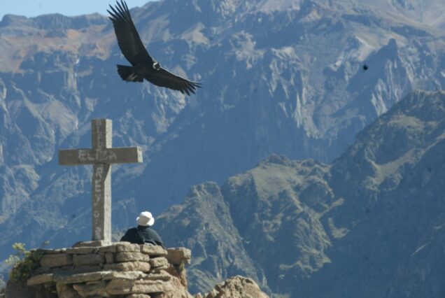 Colca Canyon Tour & Hot Springs 2 Days – Arequipa