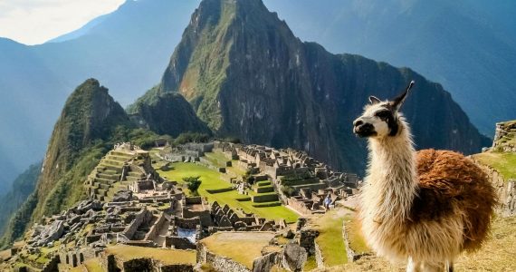 Machupicchu-006