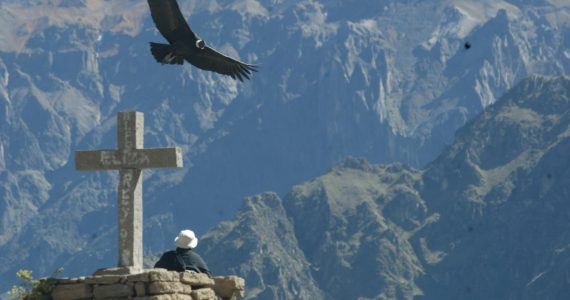 Lima, 30  de Mayo del 2005.
TOUR A AREQUIPA PARA LA PRENSA AUSPICIADO POR LA CAMARA DE COMERCIO Y PROMPERU. 
FOTO Too Escalante

OPSE 2006ENE23 PERU AREQUIPA SUPLEMENTO TURISMO VISTAS TURISTICAS PAISAJES CONDOR CREDITO ANTONIO ESCALANTE EL COMERCIO PERU
2006ENE23 AFD